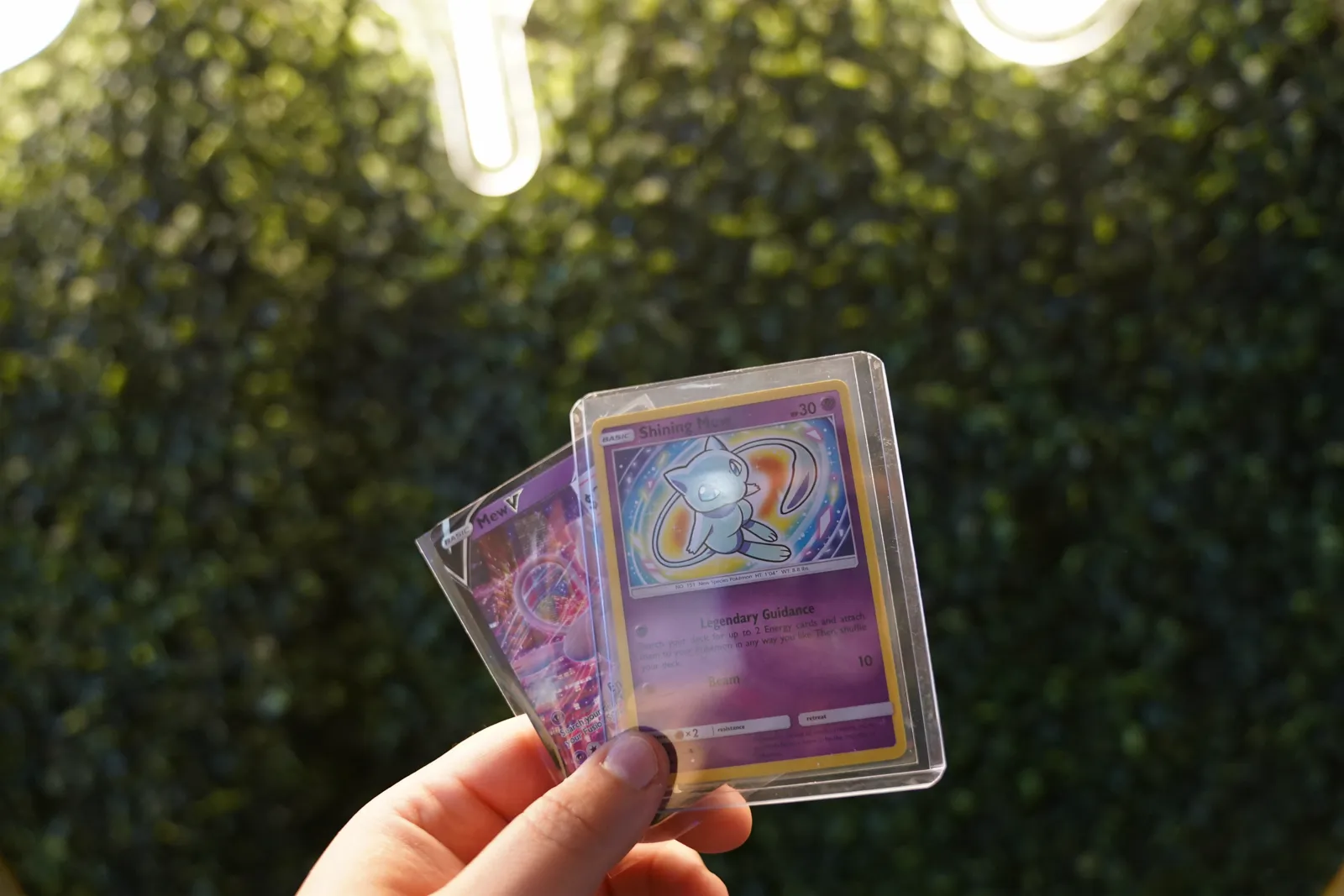A collector holds up two graded Pokémon cards, including a Shining Mew, outdoors