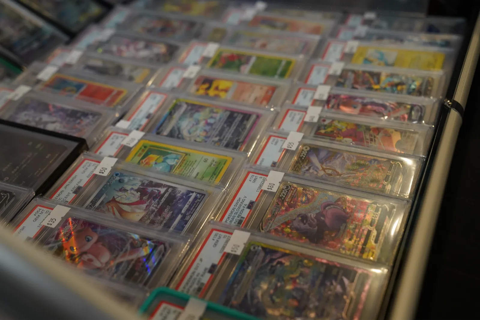 Rows of graded Pokémon cards displayed in a glass showcase
